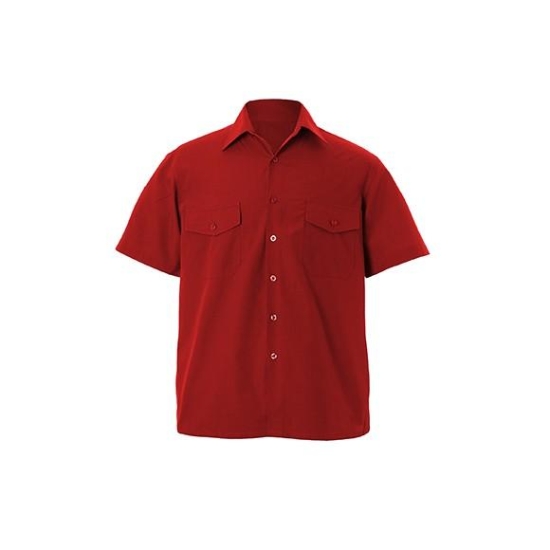 CAMISA CATA FDI M/C COLOR