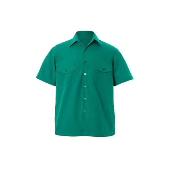 CAMISA CATA FDI M/C COLOR